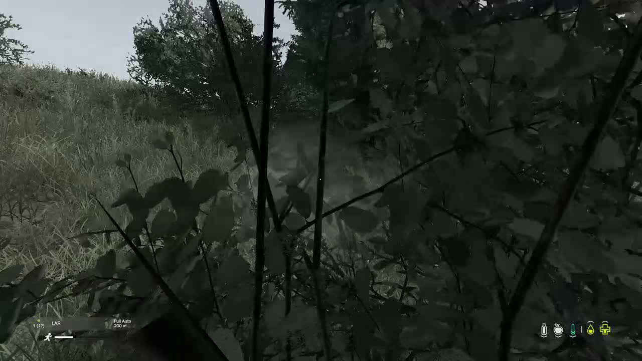 DayZ rifle engagement in the woods